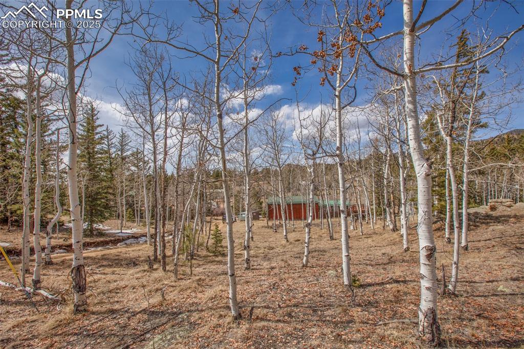 Image 33 of 38: View of yard