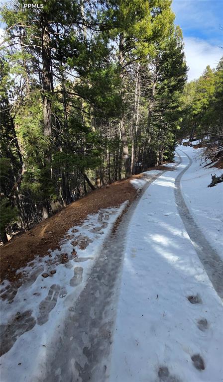 Image 3 of 3: Community