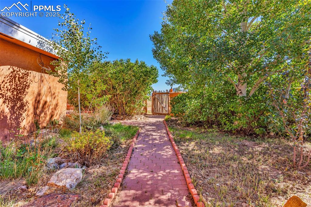 Image 36 of 46: Yard