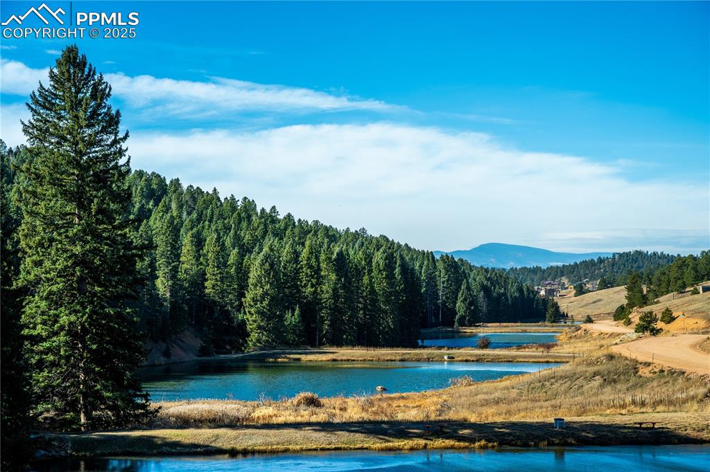 Image 34 of 34: Water view featuring a heavily wooded area