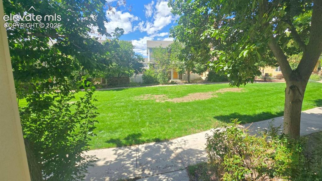 Image 26 of 27: Expansive lawn area with mature trees and a concrete pathway