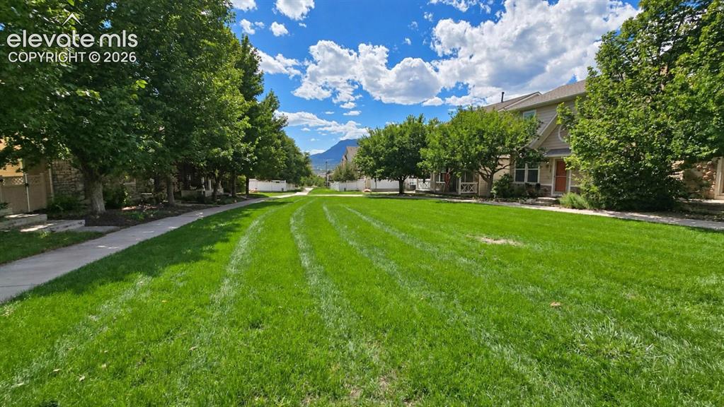 Image 27 of 27: Expansive green lawn with mature trees and a paved walkway
