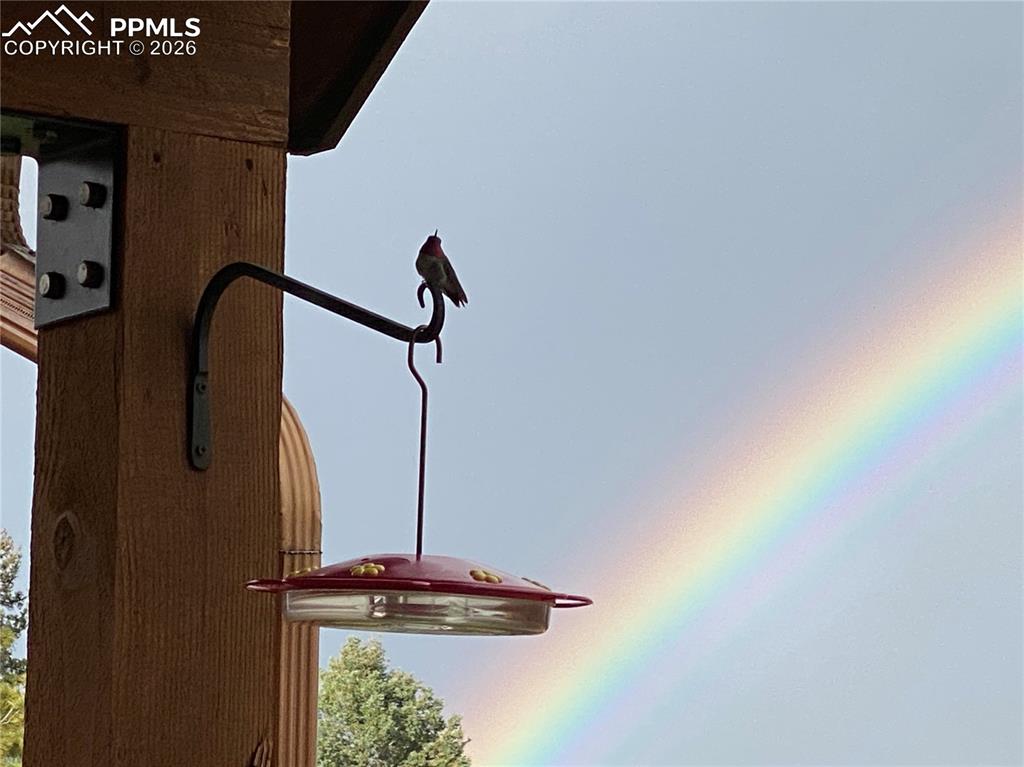 Image 35 of 50: Other