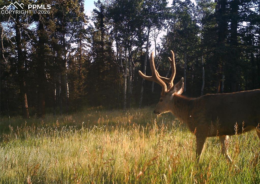 Image 45 of 50: Other