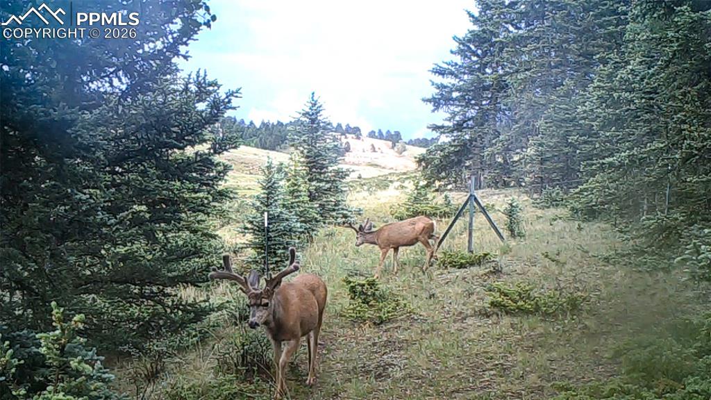 Image 46 of 50: Other