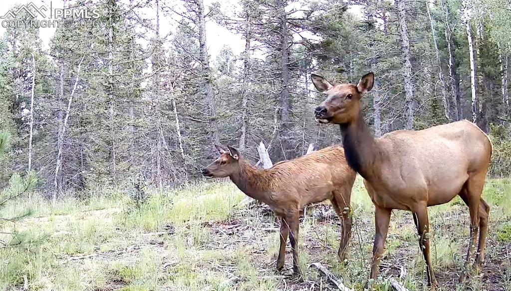 Image 47 of 50: Other