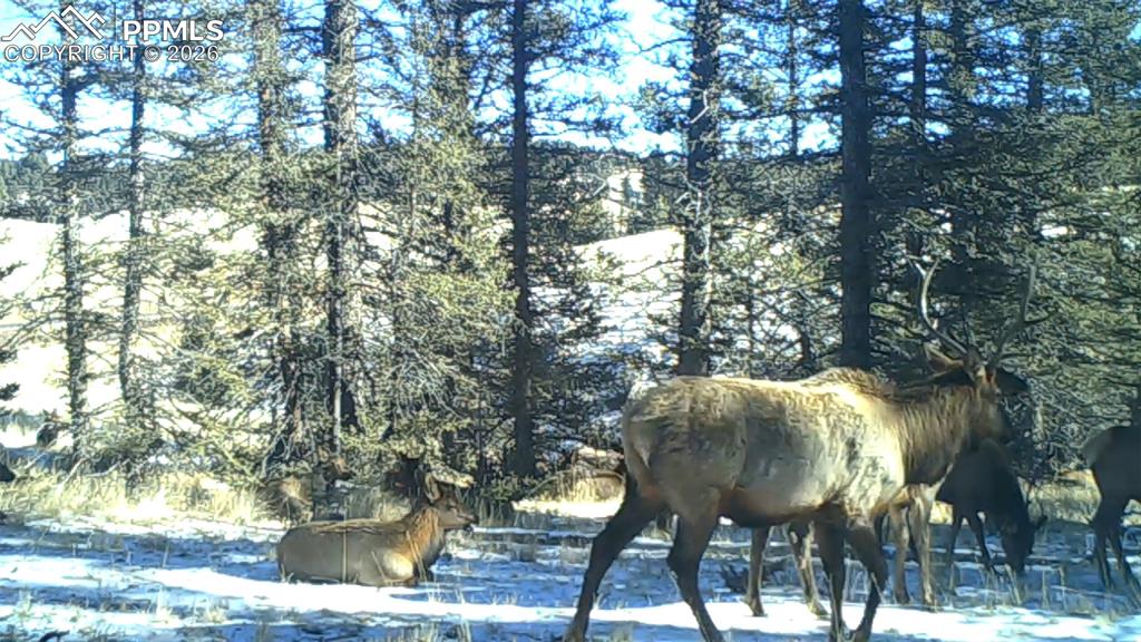 Image 48 of 50: Other