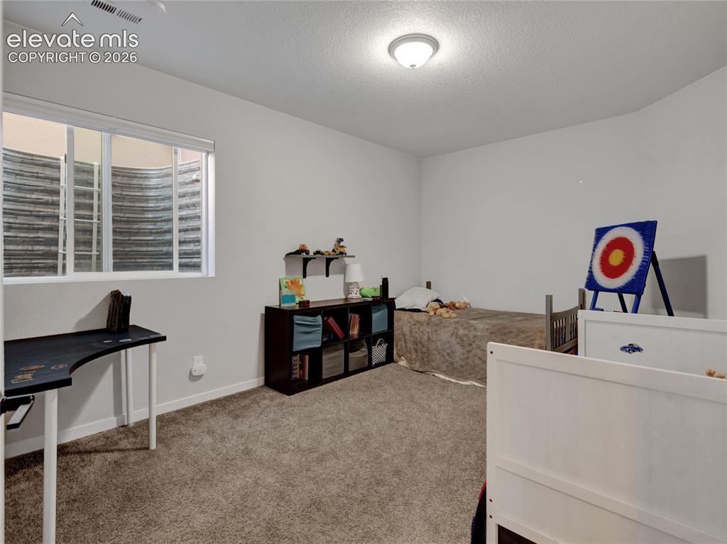 Image 15 of 17: Carpeted room with a ceiling-mounted light fixture, a window with a well-st