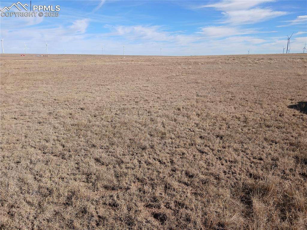 Image 10 of 11: Other