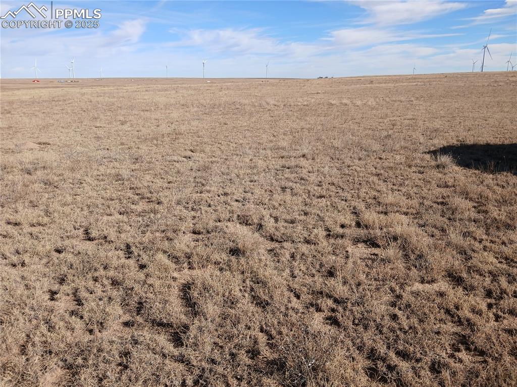 Image 11 of 11: Other