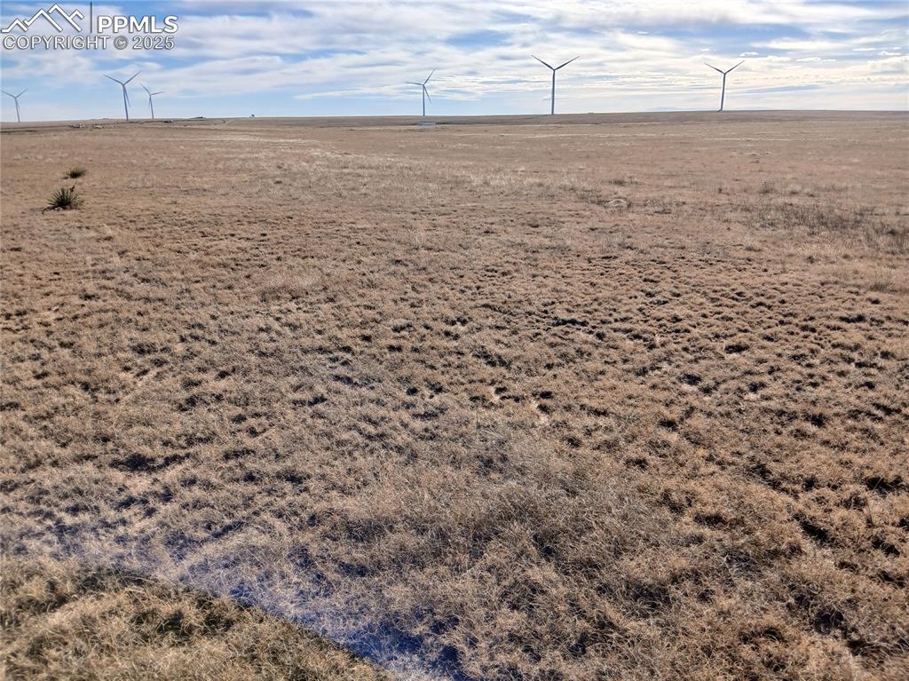 Image 3 of 11: Other