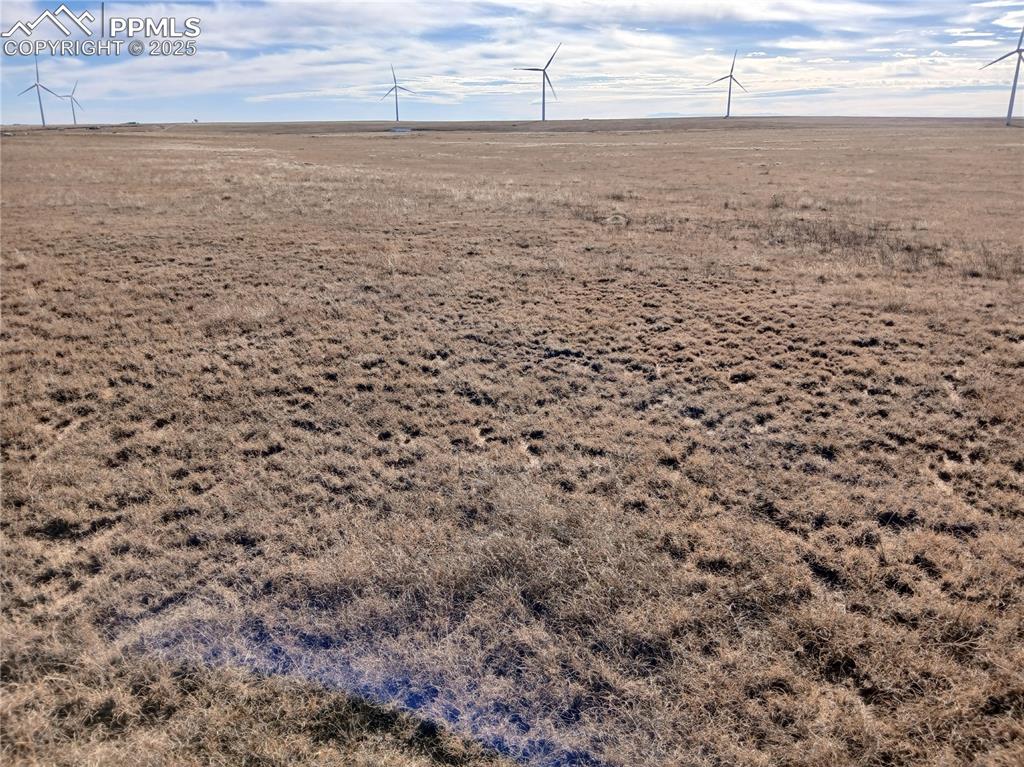 Image 4 of 11: Other