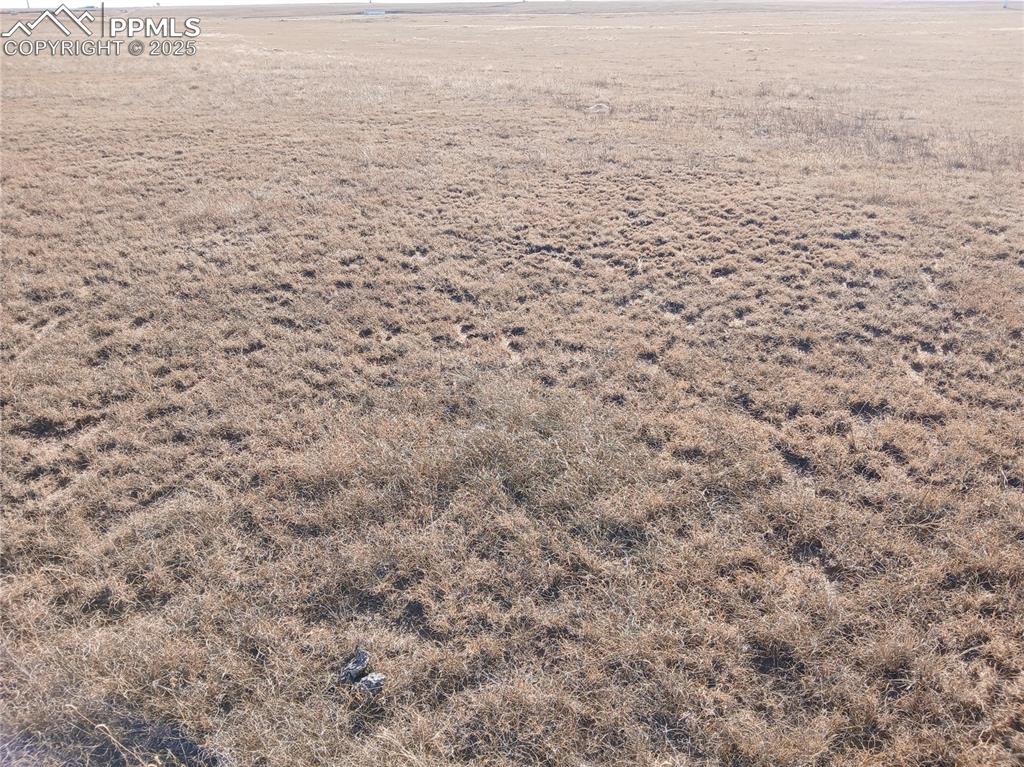 Image 5 of 11: Other