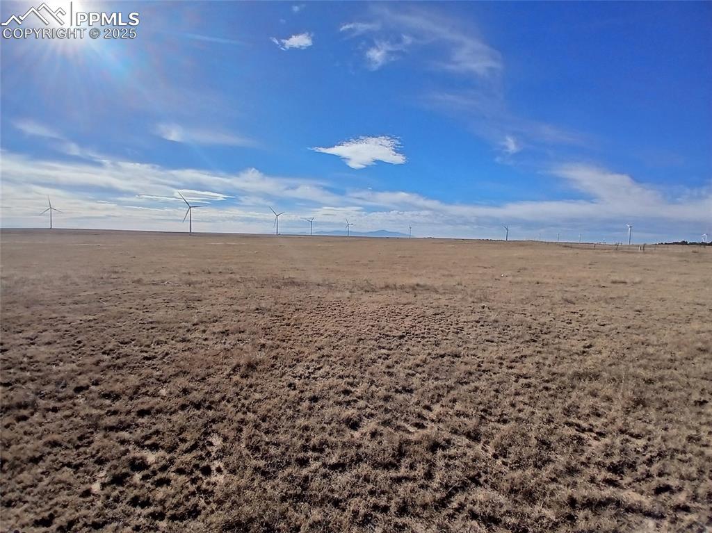 Image 6 of 11: Other