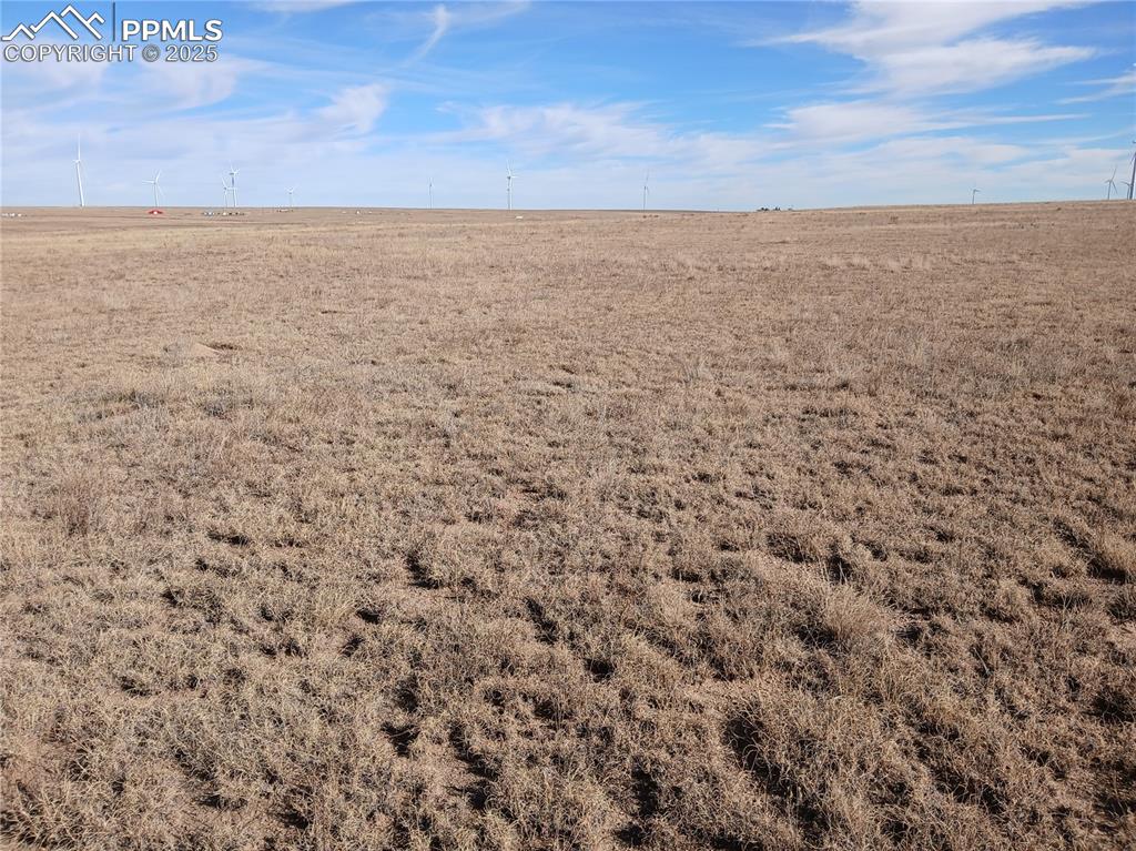 Image 8 of 11: Other