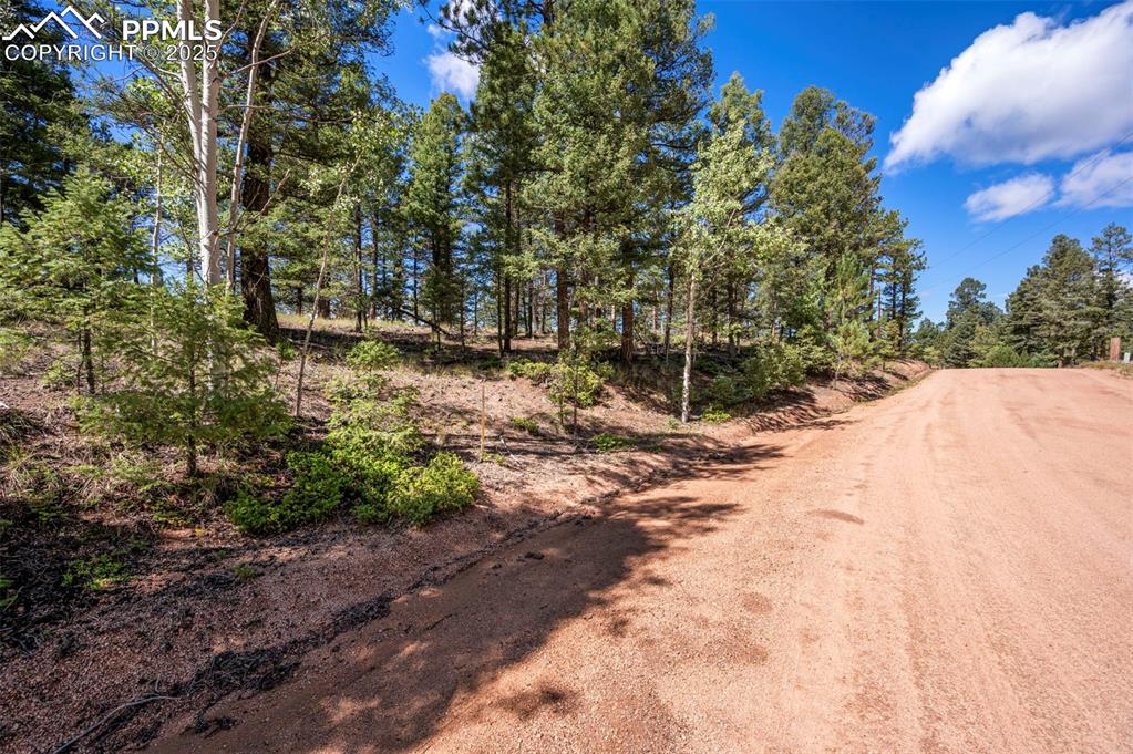 Image 10 of 24: Community