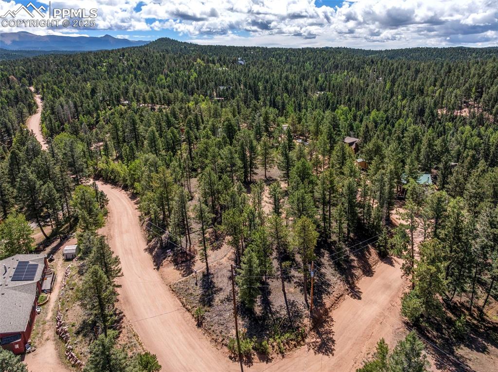 Image 13 of 24: Aerial view of a forest and a mountainous background