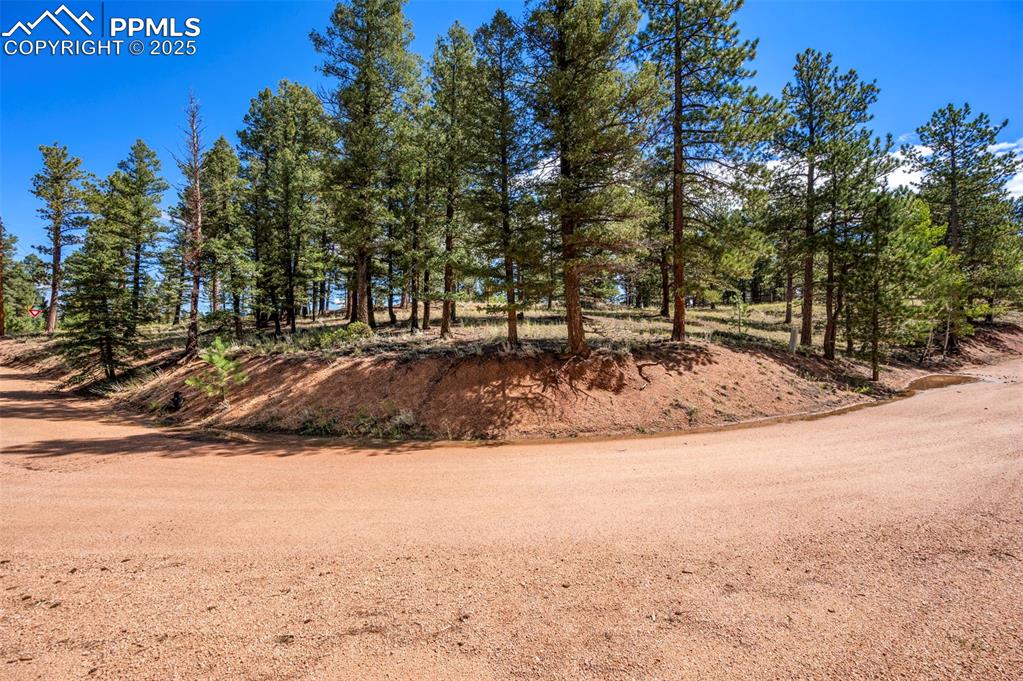 Image 19 of 24: Other