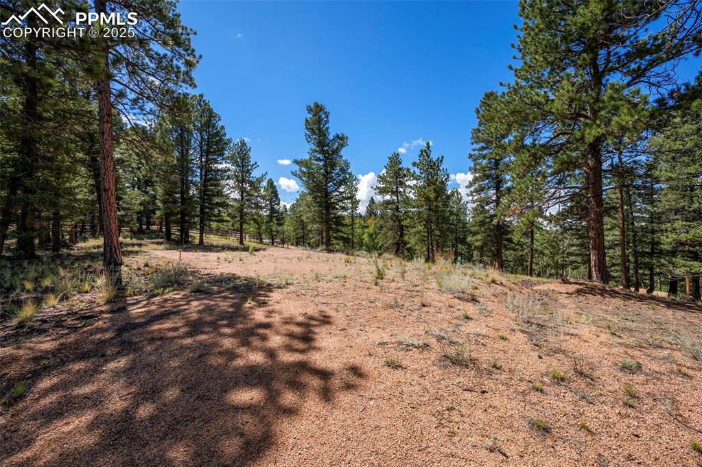 Image 2 of 24: Other