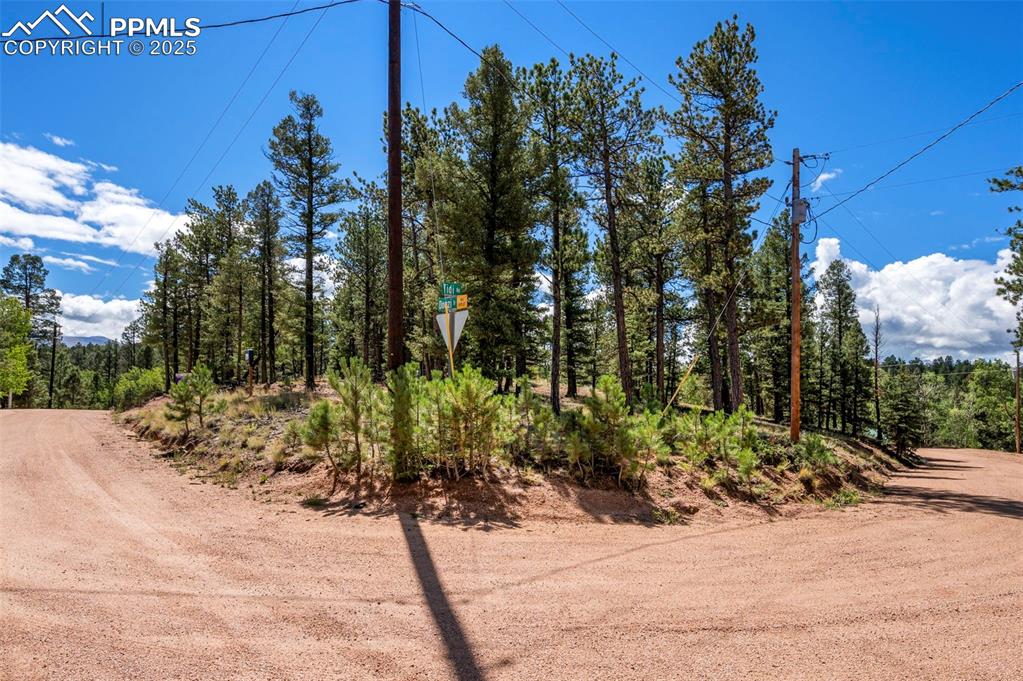 Image 20 of 24: View of dirt / gravel road featuring a view of trees