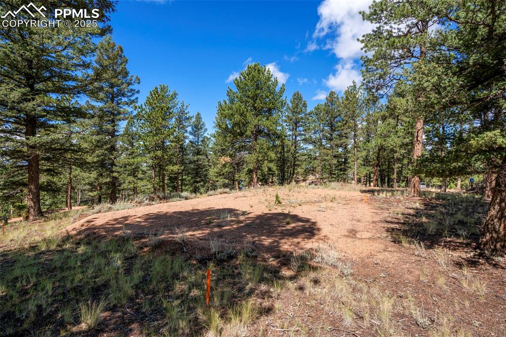 Image 4 of 24: View of local wilderness