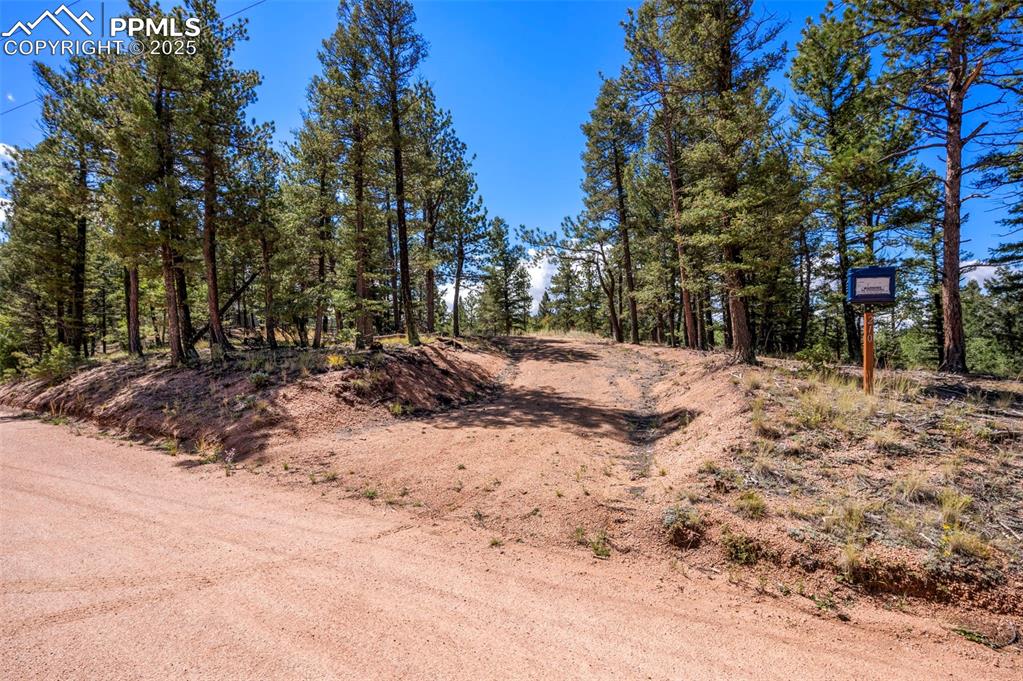 Image 7 of 24: Other