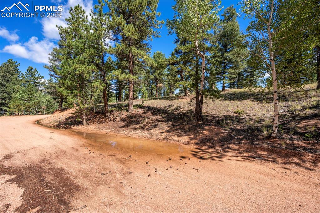 Image 8 of 24: Other