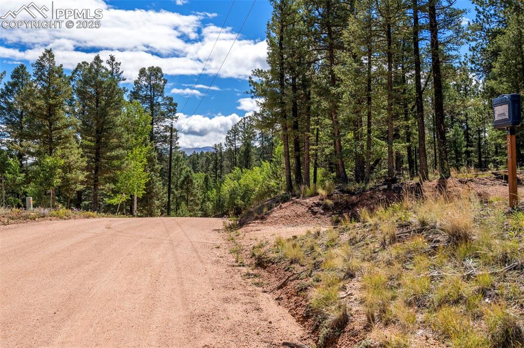 Image 9 of 24: Community