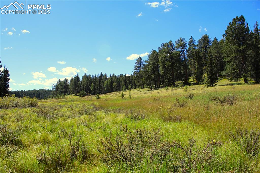 Image 10 of 16: View of wooded area with a view of countryside