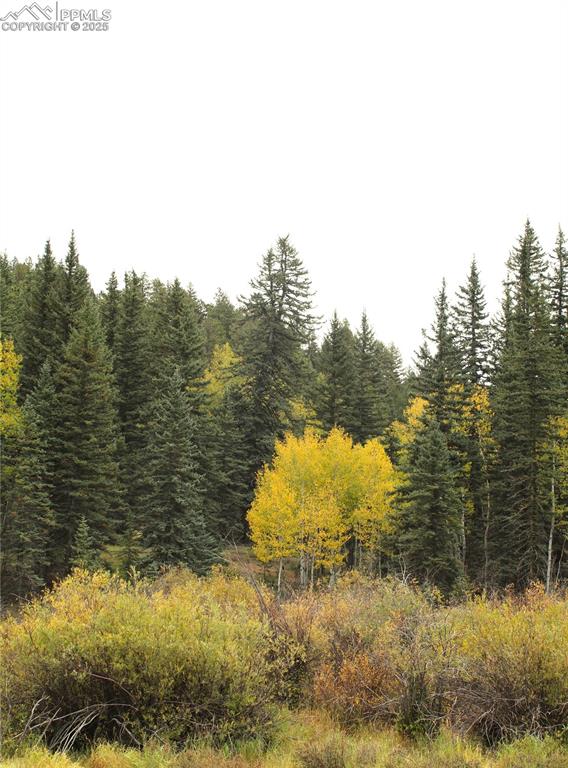 Image 15 of 16: Fall colors