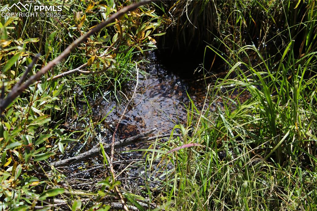 Image 4 of 16: Manchester Creek