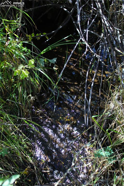 Image 6 of 16: Manchester Creek