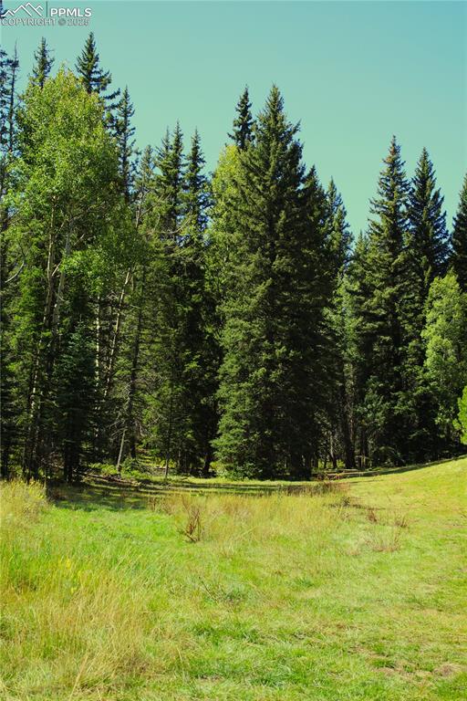 Image 7 of 16: View of wooded area