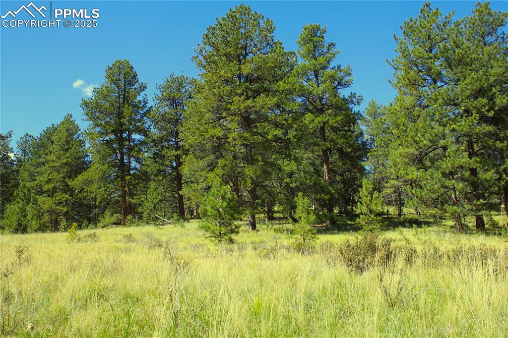 Image 8 of 16: View of nature