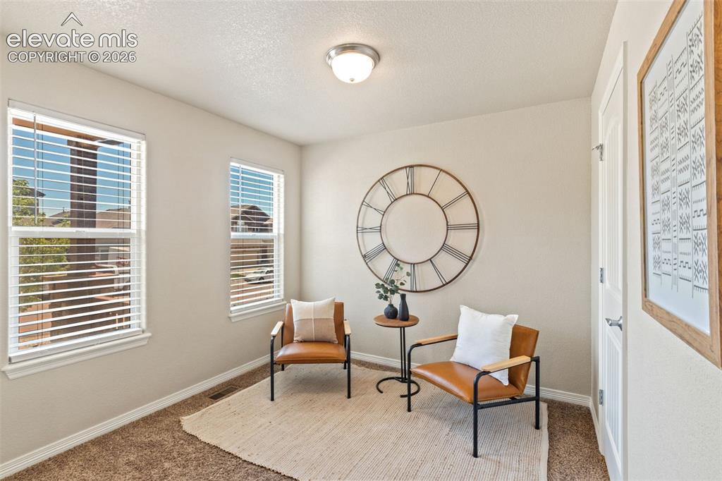 Image 20 of 35: Neutral-toned room featuring a flush-mount ceiling light and two windows wi