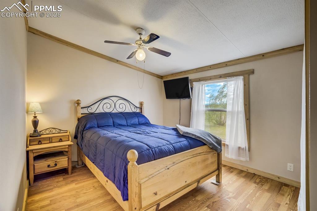 Image 24 of 43: Bedroom with light wood-style flooring, a ceiling fan, crown molding, and a