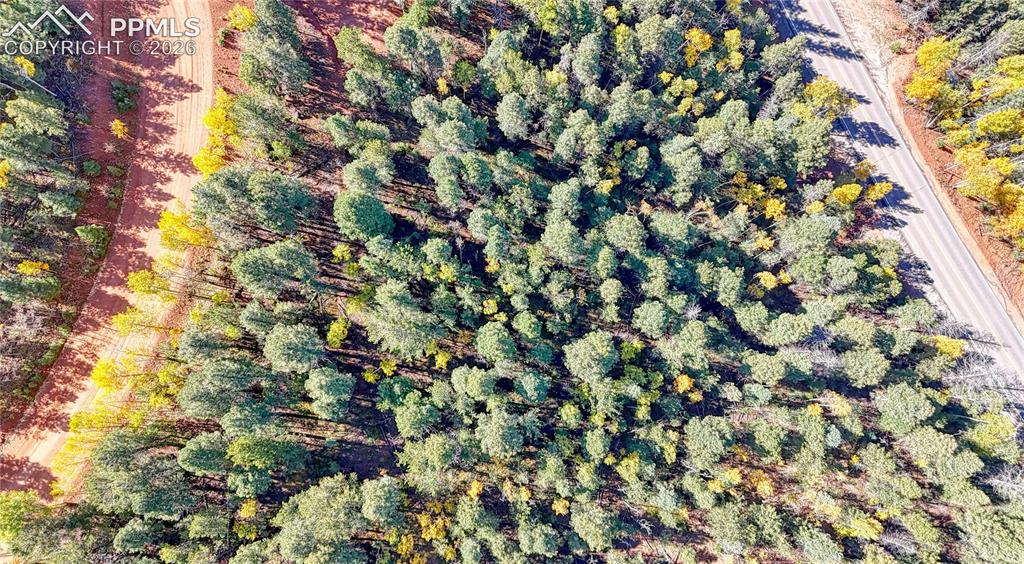 Image 12 of 49: Aerial View