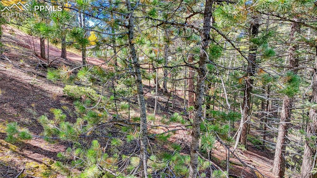 Image 9 of 49: Other