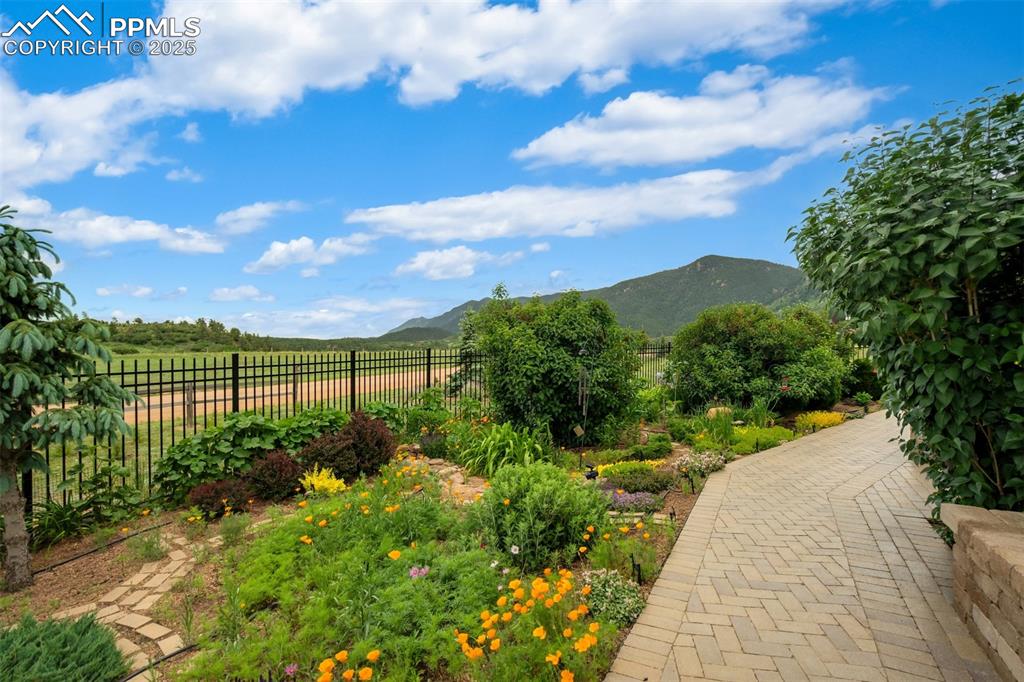 Image 4 of 50: Fenced front garden
