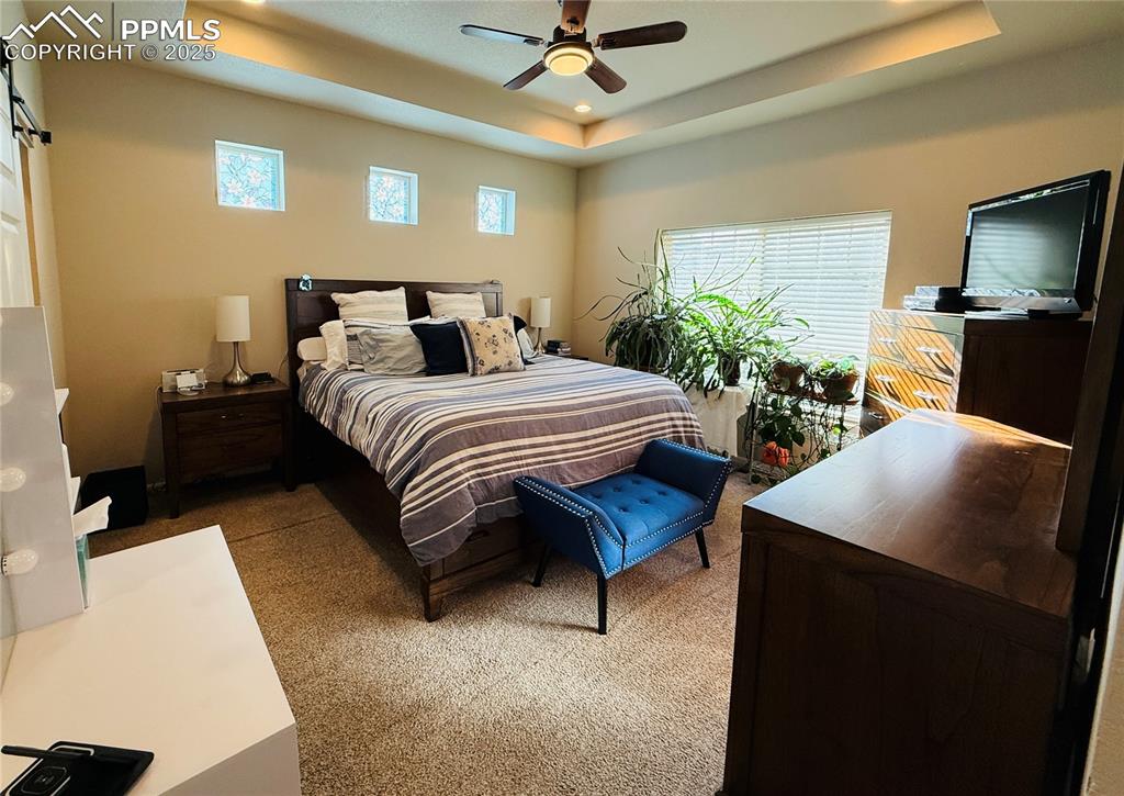 Image 12 of 28: Bedroom with a tray ceiling, multiple windows, and carpet