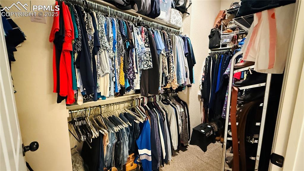 Image 15 of 28: Walk in closet featuring carpet
