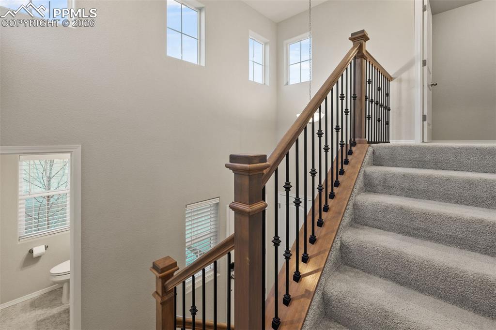 Image 36 of 37: Other