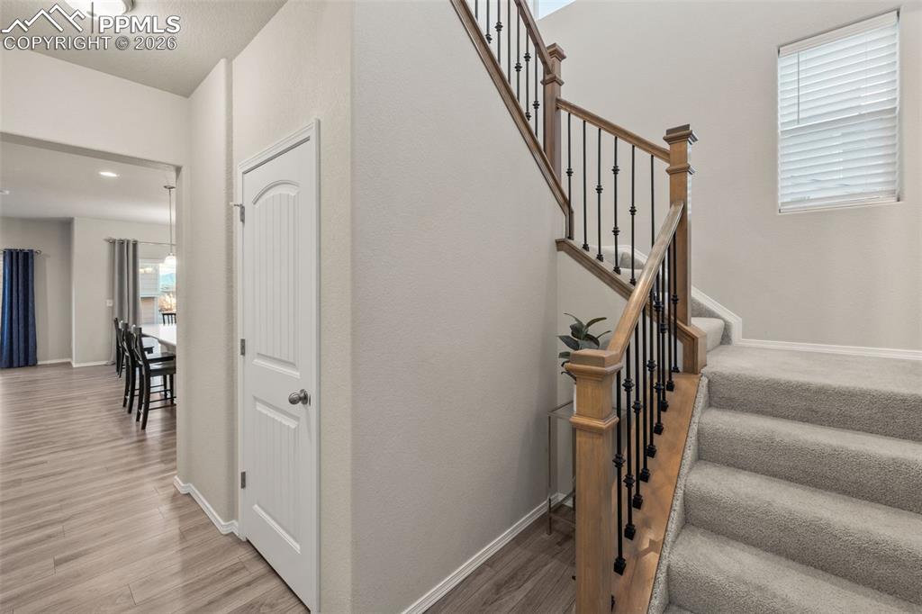 Image 6 of 37: Other