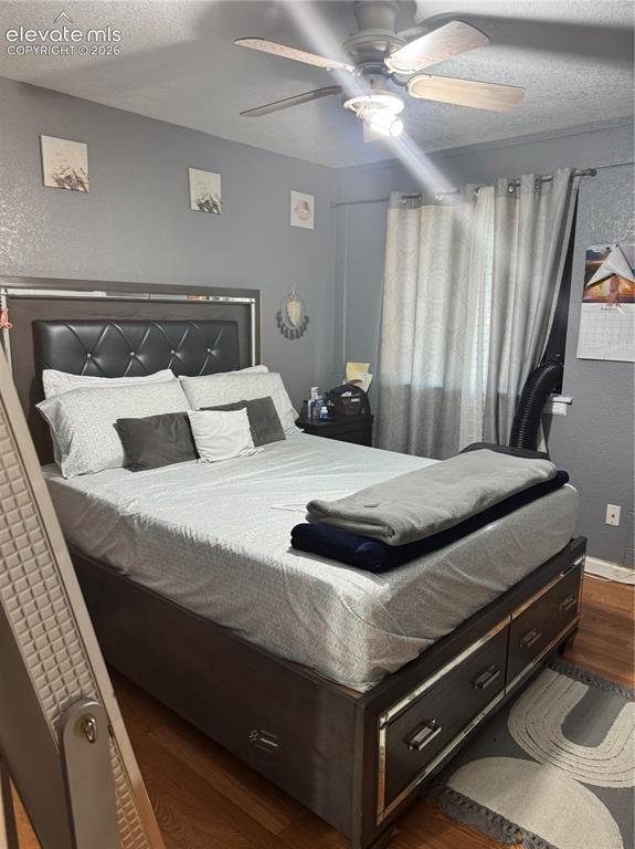 Image 12 of 17: Ceiling fan with integrated lighting