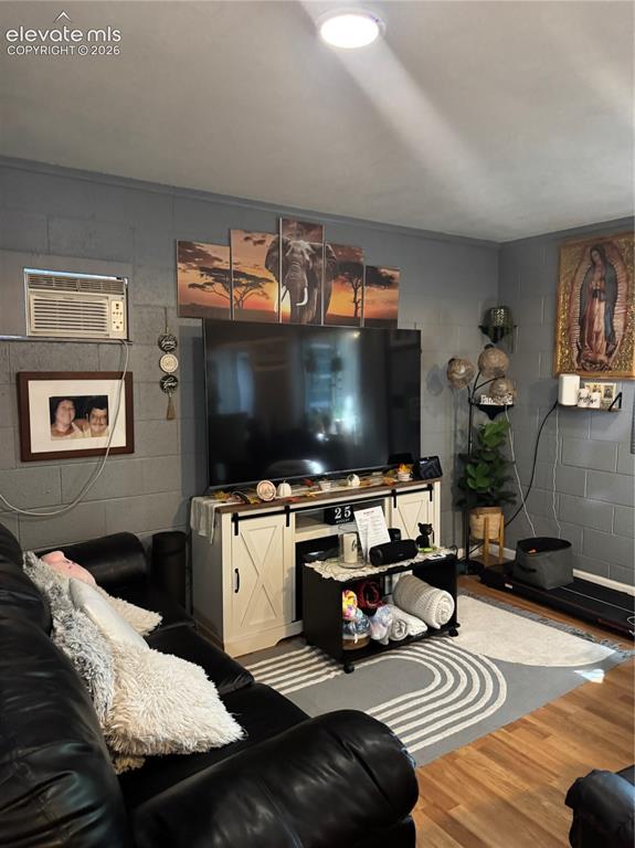 Image 8 of 17: Wood-finish flooring with a textured area rug