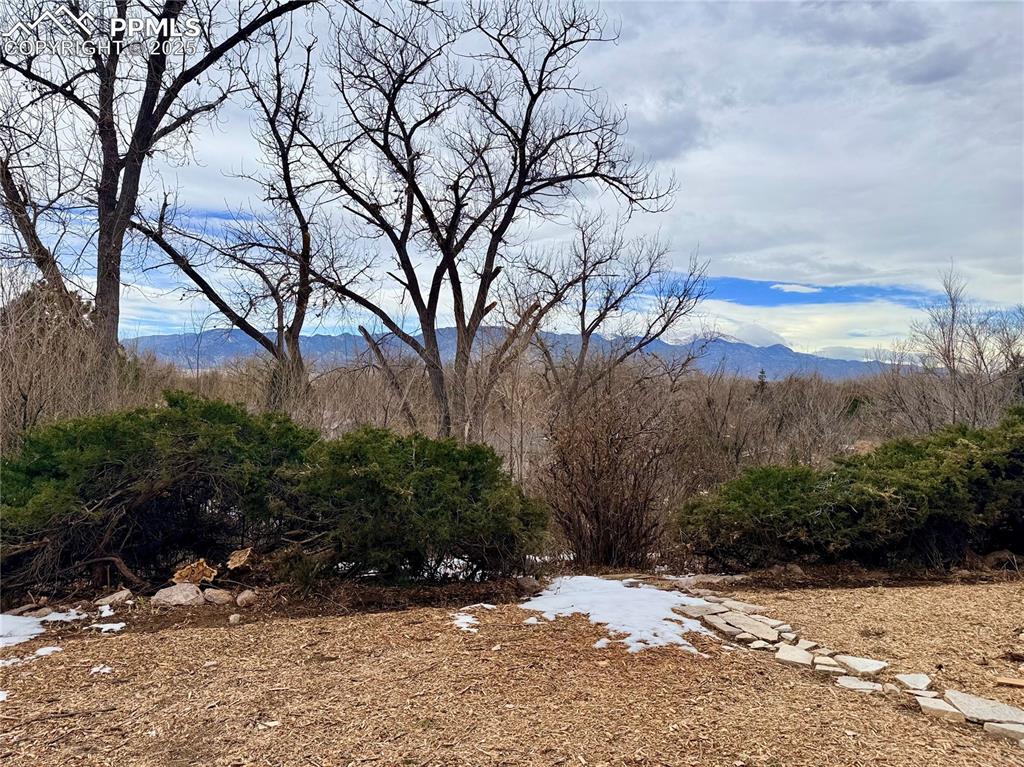 Image 40 of 45: Backyard with amazing Pikes Peak Views