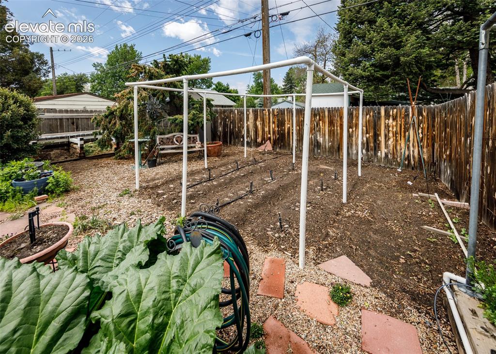 Image 44 of 45: Garden