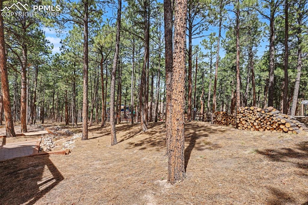 Image 46 of 48: Yard