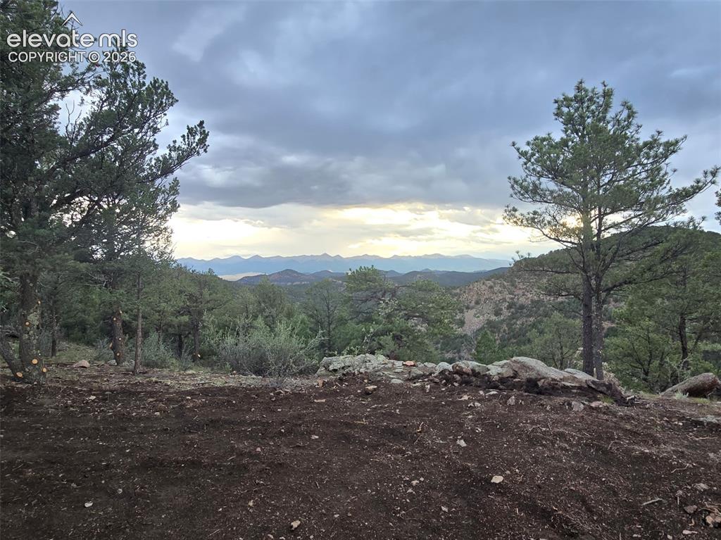 Caption: View from the building pad site