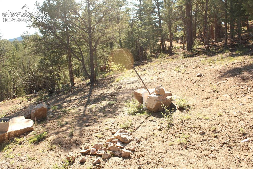 Image 10 of 33: Septic